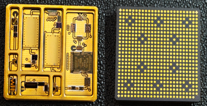 2026.3.12植樹(shù)節(jié)18